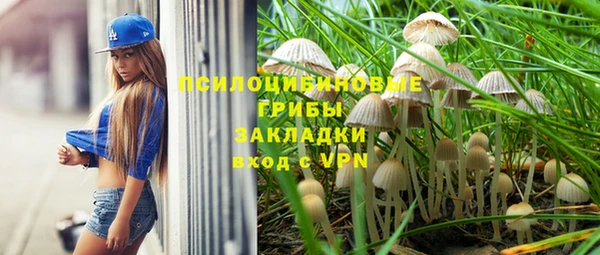 Альфа ПВП Алзамай