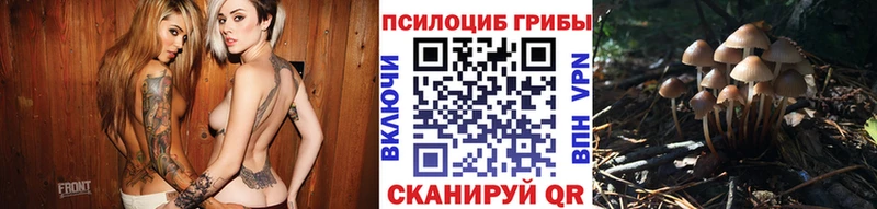 Псилоцибиновые грибы мицелий  omg зеркало  Туринск 